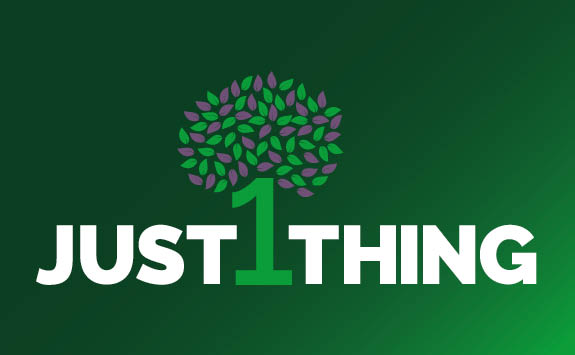 Just 1 thing